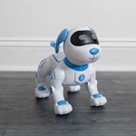 CONTIXO<sup>&reg;</sup> R3 Robot Dog 